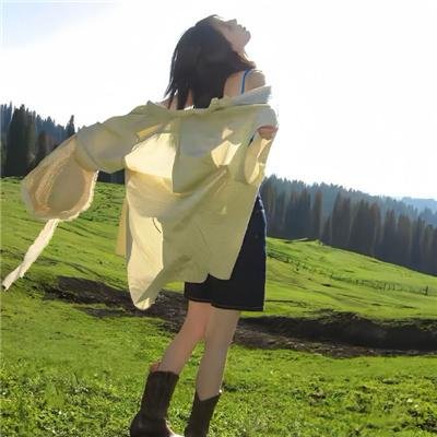 大汉天子2：汉武雄风